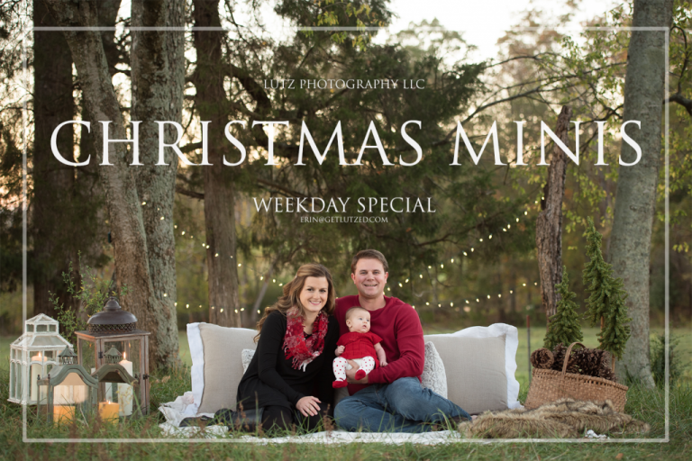 2022 Dj Christmas Partys Now Booking NOW BOOKING CHRISTMAS MINI SESSIONS